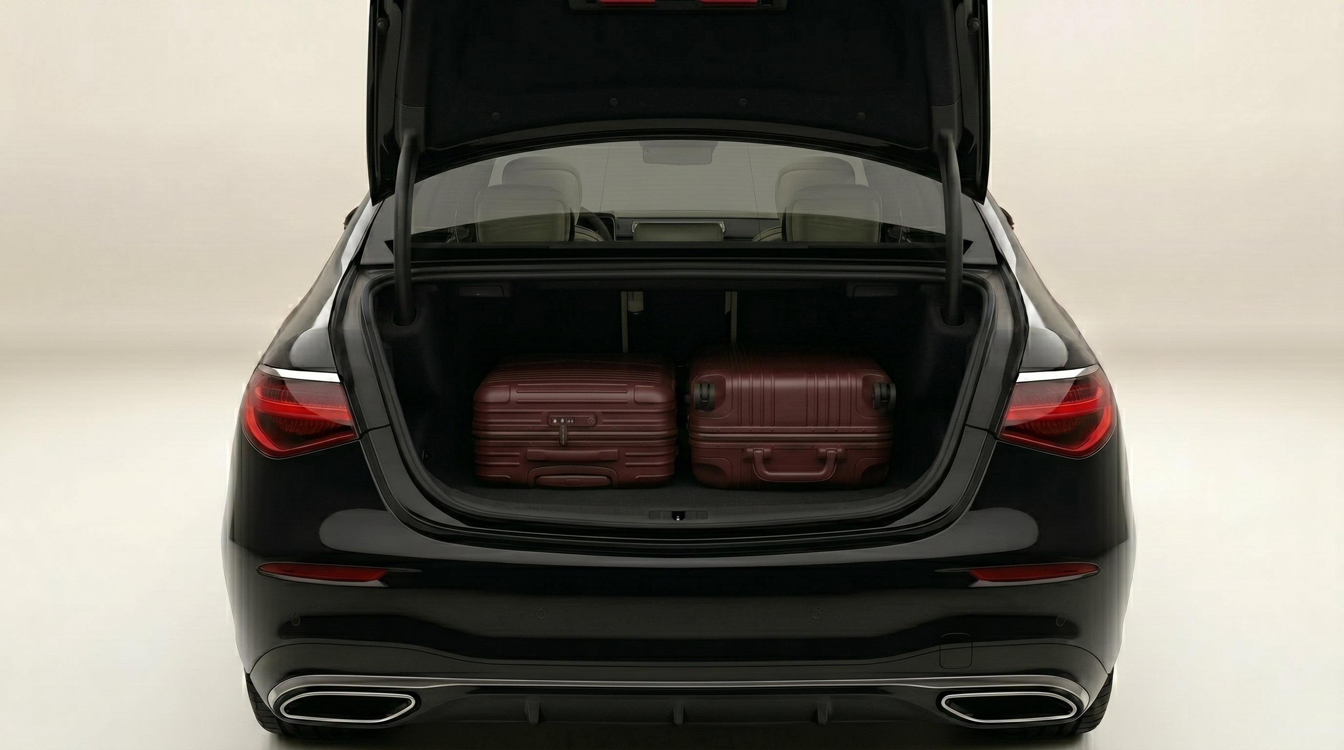 Business Class trunk and luggage